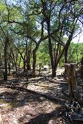 Texas Land Art