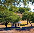 Austin Houses